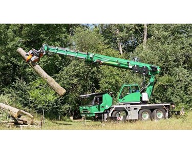 Telescopic Crane | Tree Care