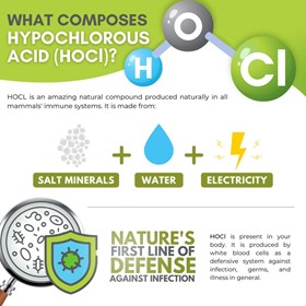Hospital Grade Disinfectant | Hypochlorous Acid (HOCl): How it Works
