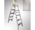 Gorilla - Dual Purpose (Double sided) Ladder 150Kg Industrial