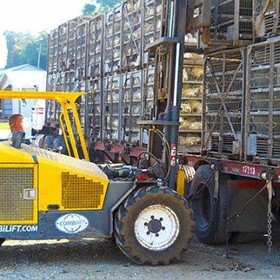 Poultry Handler Forklift 1,500 / 1,600 kg | Combi-RT Series 