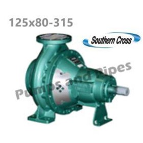 Bare Shaft End Suction Pump 125x80-315 - PSHE3A