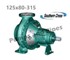 Southern Cross - Bare Shaft End Suction Pump 125x80-315 - PSHE3A