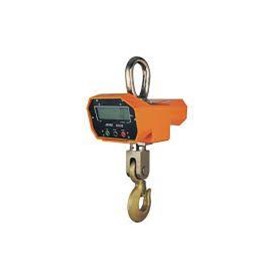 Mini Crane Scale with LCD Display | 500kg  - 1000kg