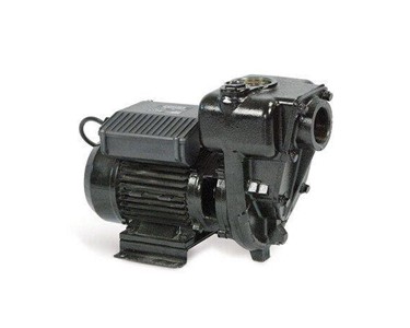 Piusi - AC Diesel Transfer Pump | E300 