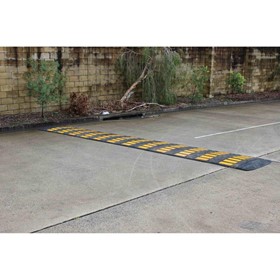 Compliant Speed Humps / Cushion