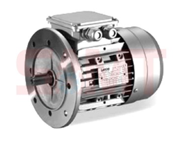 NEMA Standard Electric Motor - Low Voltage (LV)