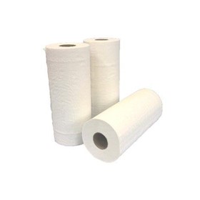 Towel Rolls | ERPA05 | 12ea 24.5cmx50M white embossed