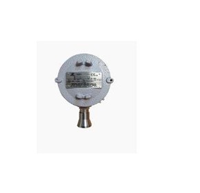 Combustible Gases Combustible Gases