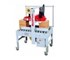 Perfect Automation - Carton Sealing Machine | RQ 23-2