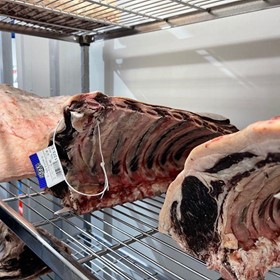 A Comparative Study of Dry Aging Meats Using A Desiccant Dehumidifier and Salt Blocks