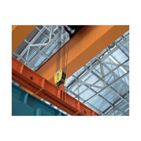 Overhead Cranes | Adjustable Height & Width