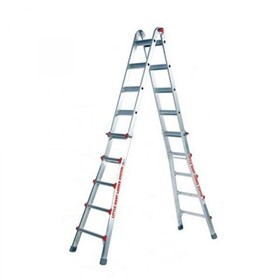 Telescopic Access Ladder | Classic Model 22