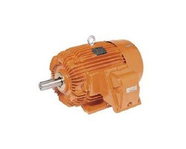 Teco - Electric Motor | IEC Certified Flameproof (EXd, EXde)