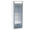 Iarp - Commercial Glass Door Freezer ASIA 55 IARPASIA_ASIA55 | Asia 55 