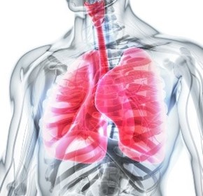 Potential new treatment for cystic fibrosis uncovered Potential new treatment for cystic fibrosis uncovered