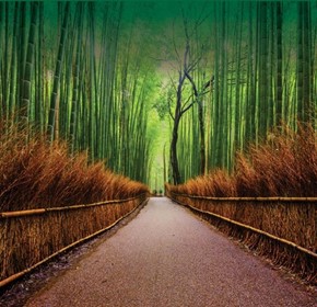Make an Impression with our latest UNILAM range of laminating films ! Make an Impression with our latest UNILAM range of laminating films !