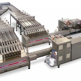 Record Packaging System for Biscuits