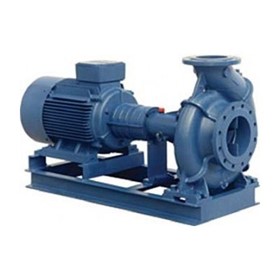 End Suction Pump I DS Series