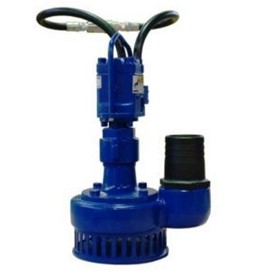 Water Pump | Model No: PH300