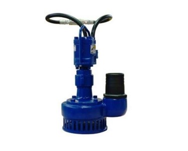 Maruzen - Water Pump | Model No: PH300