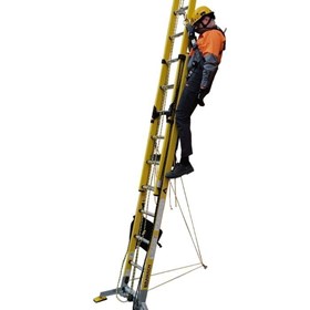 Fibreglass Fall Control System Ladder | FED 8.8 FC
