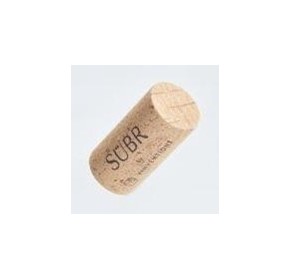 Jet Technologies launches world’s first biodegradable wine cork Jet Technologies launches world’s first biodegradable wine cork