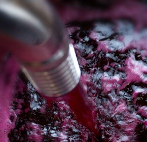 How to select the best winery pump for next vintage How to select the best winery pump for next vintage