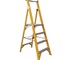 Fibreglass Platform Ladder 3 Steps | CLIMBMAX