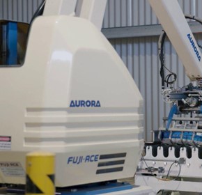 MBS Building & Landscape Supplies implements Automated Infeed, Bagging & Palletizing Line