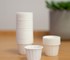 Haines - Paper Pill Cup - Biodegradable
