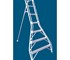 Aluminium Orchard Access Ladder 3.81m Flat Top | Allweld