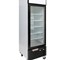 NovaChill - Single Glass Door Upright Display Freezer 590 Litre - SM600GZ