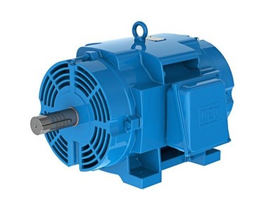 Metric ODP Electric Motor | K51/1 W21ODP