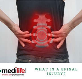 What is the Spinal Cord? What is the Spinal Cord?