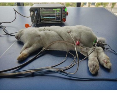 UTMD - VS2000V 7" Veterinary Vital Signs Monitor-NIBP/SPO2/ECG/TEMP/PR/RESP