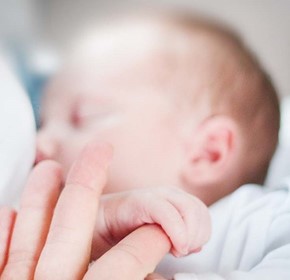 Body Composition in Pre-Term Infants Body Composition in Pre-Term Infants