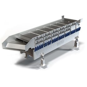 Conveyor Systems | Grading, Sizing and Separating Conveyors