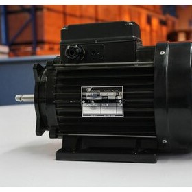 Conon Electric Motor | Waterway/Aqua-Flo’s pump