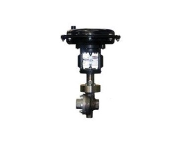Control Valve | Mark 74 Series