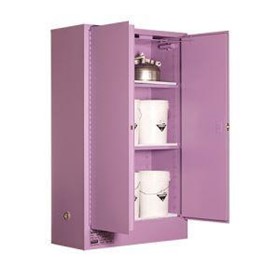 Corrosive Storage Cabinet 250L