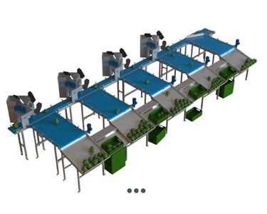 Burg Machinery - Broccoli Sorting Machine