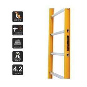 4.2m Straight Access Ladder