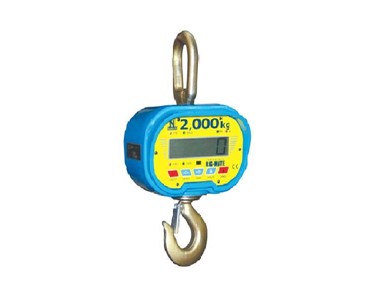 Rig-Mate - Compact Crane Scales