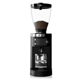 E65S GbW Coffee Grinder