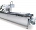 Thermoforming Packing Machine | R 145