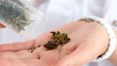 First imports of medicinal cannabis arrive in Australia