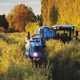 Grape Harvester | Braud 9090x Olive Harvester