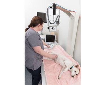 Mindray - Veterinary Ultrasound Machine | M7 Premium