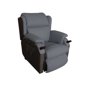 Recliner Chair – Dual Action
