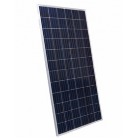 Suntech | Solar Panel | Polycrystalline 325W